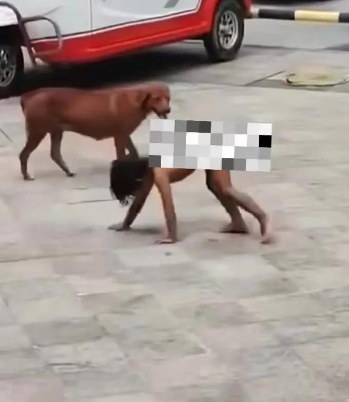 头皮发麻！

哪有当娘的不心疼自己娃的，除非这当娘的不正常，娃的爹如果正常，妻子