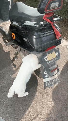 鼓捣了半天，什么收获都没有啊？