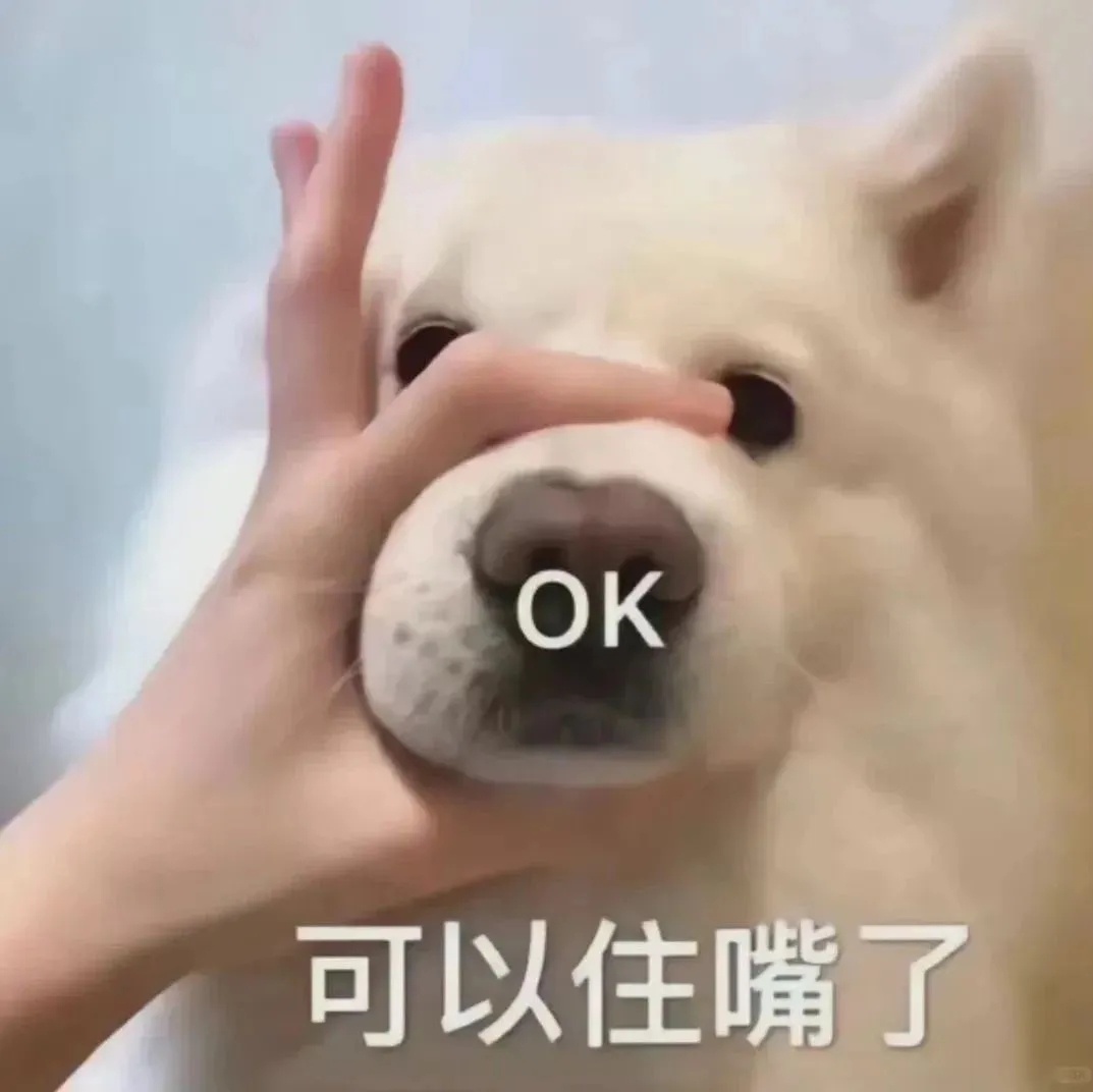 #主人以为狗怀孕了照顾2月喂胖10斤#现实版·假孕争宠！笑死，以为是怀孕了，结果