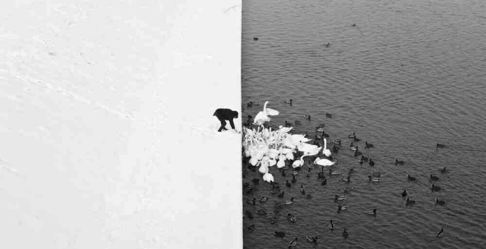 我从来不指望吸引别人，
我觉得这样很浅薄，我得吸引我自己，
让我对自己有了热爱，