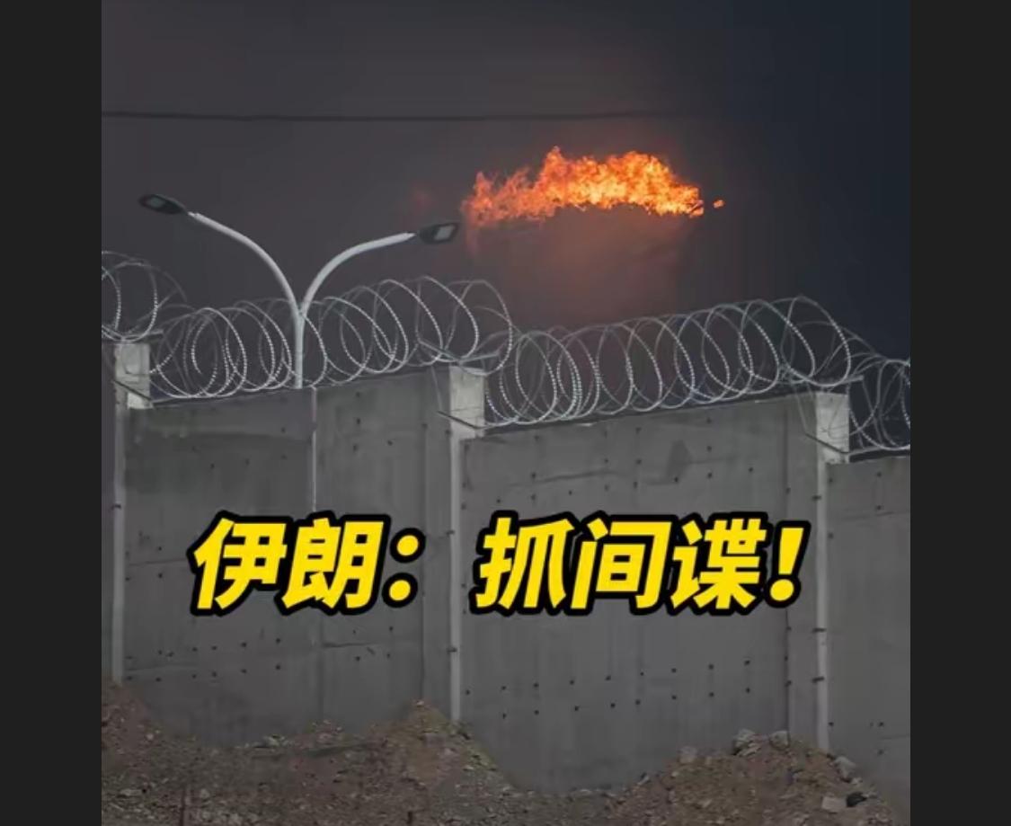 本来是好几派的互相制衡，这个时候谁得势就会借机清除另一派，有间谍也不见得全是间谍