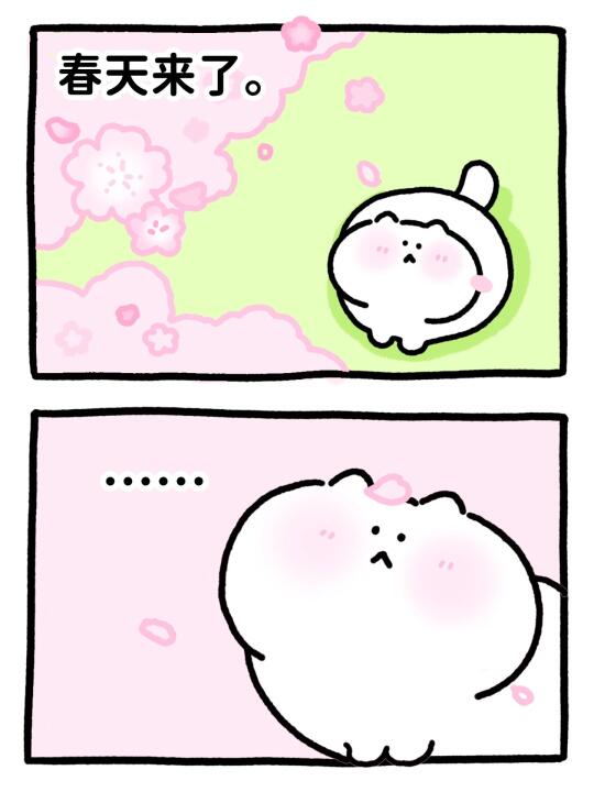 胖胖的烦恼…