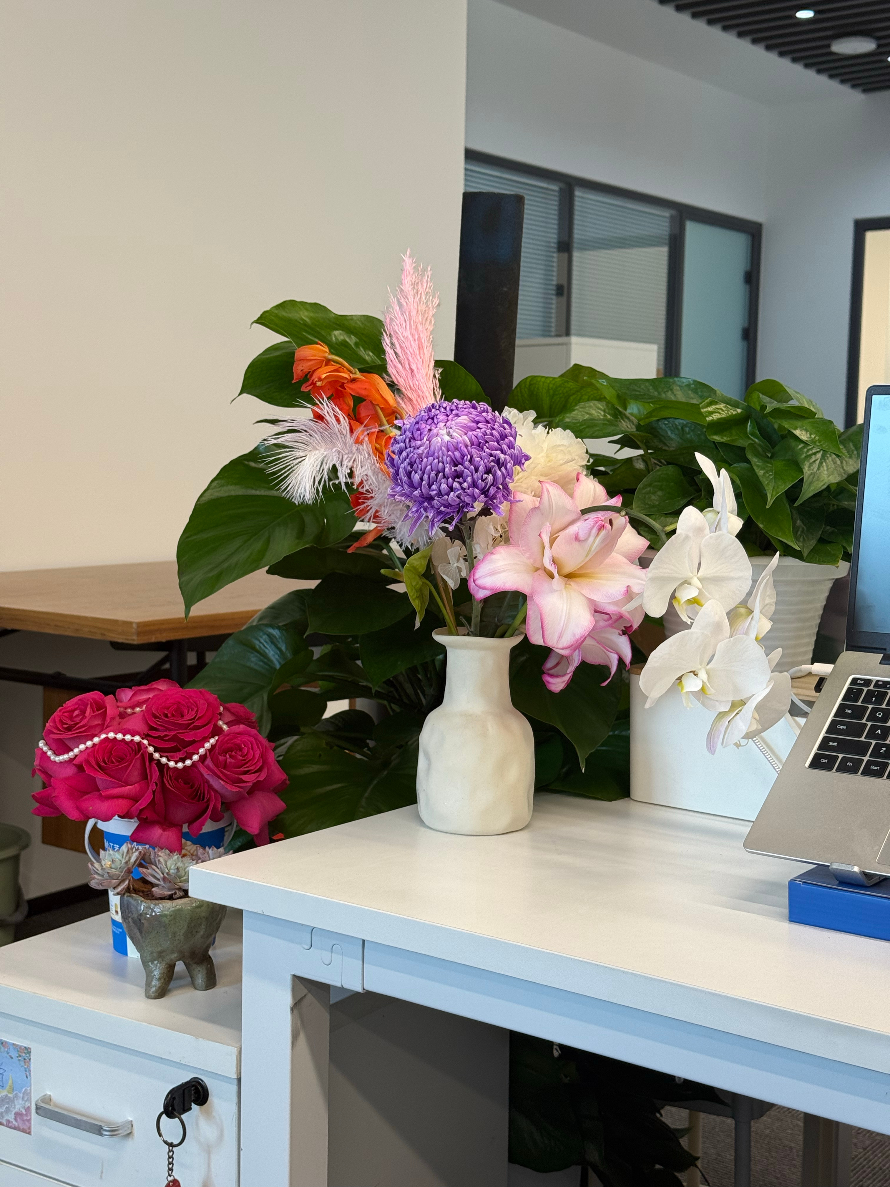 我的工位今天长这样