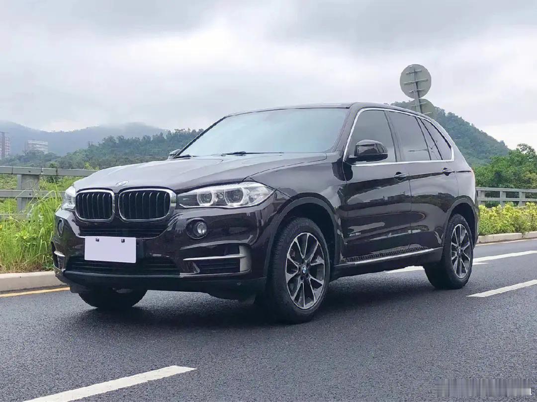 中国汽车市场这么多纯电怪物，欧系豪车也跟着搞电车，这属于贱得难受我要知道中国人这