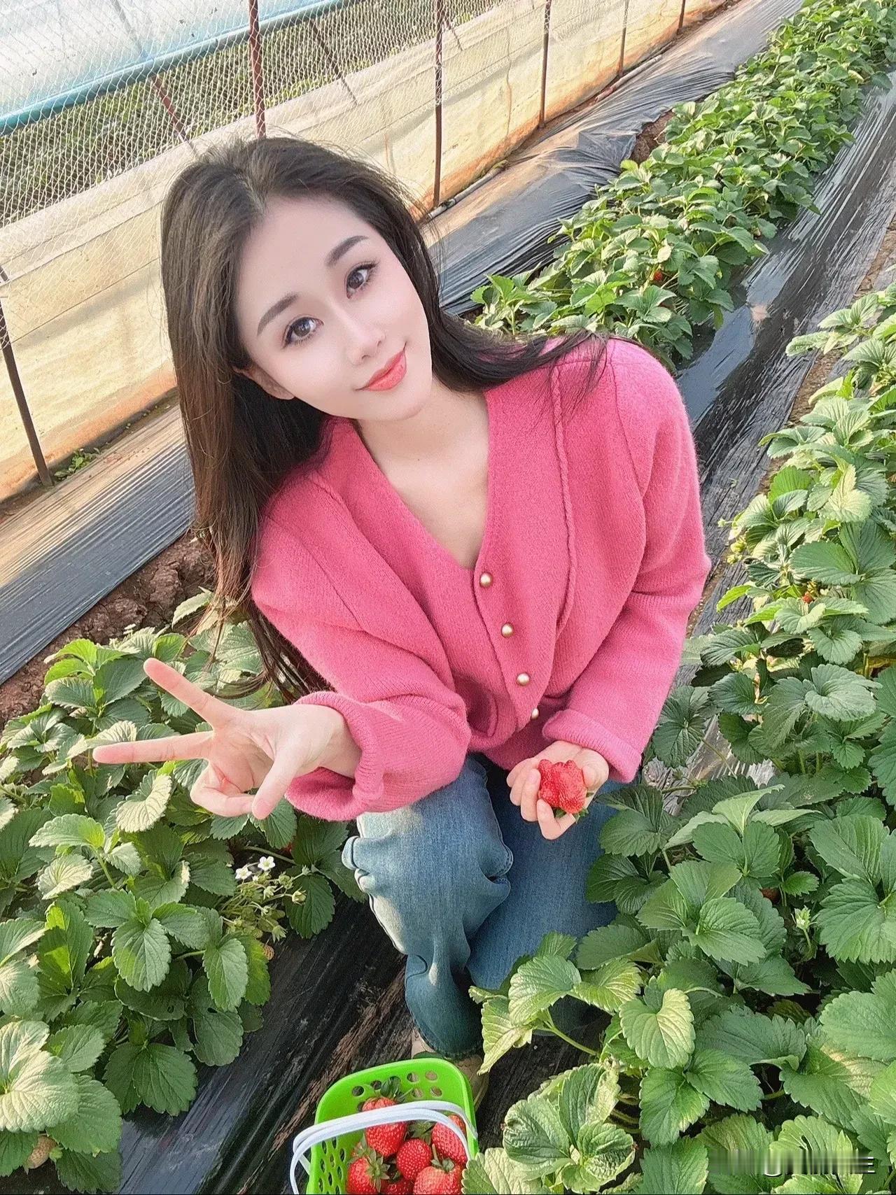 请大家吃草莓啦