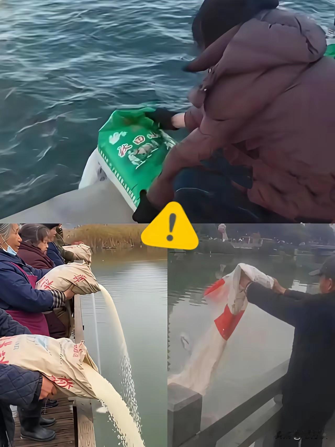 刷头条的时候刷到几张图片，一些老人家往河里倾倒大米，不知道发生了什么事情。这让我