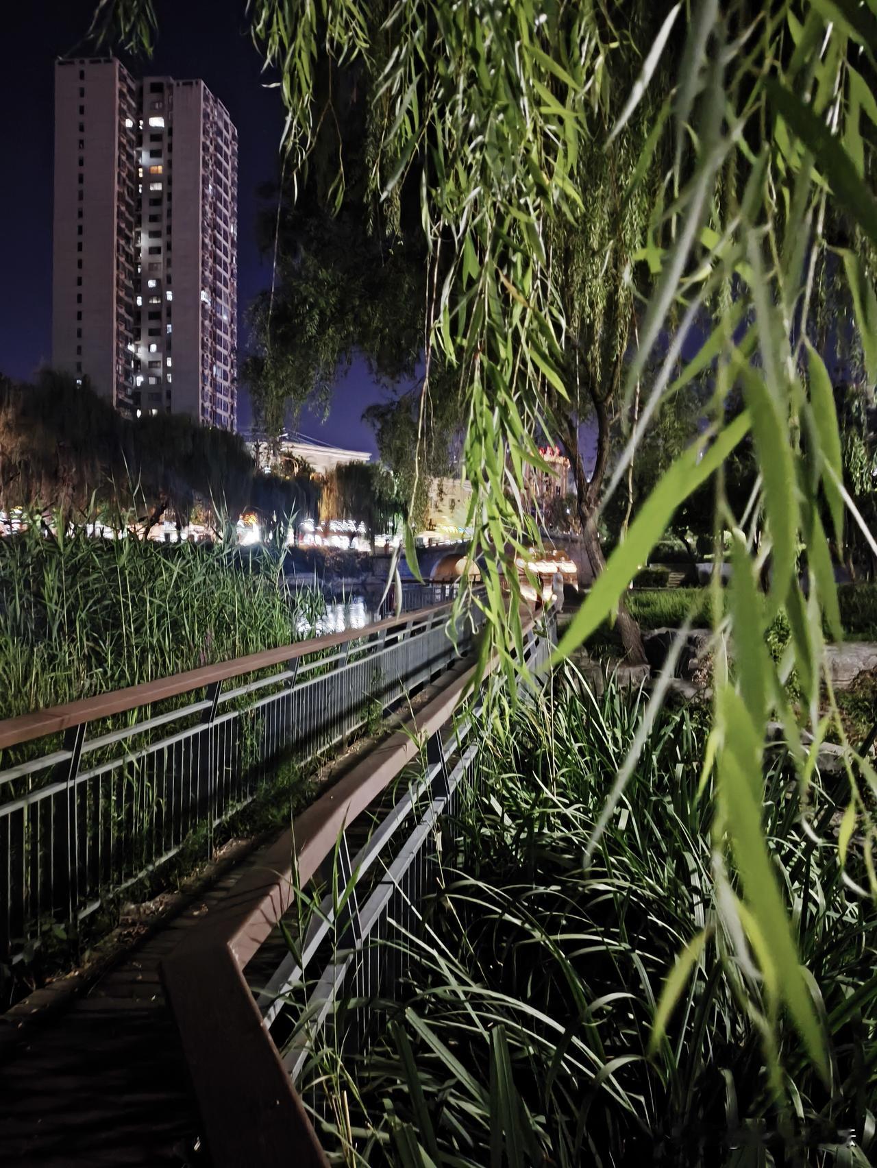 夏日生活打卡季闹市的灯火在远处闪烁，眼前只有垂柳、芦苇与流水。世间纷扰隔在草木之