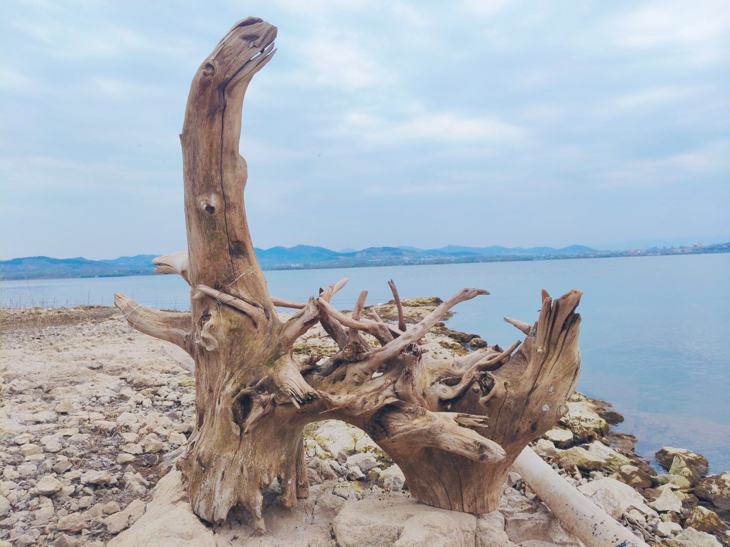 我的日常plog 回临朐老家，来到了冶源水库，河边上的石头堆里遇到的，造型好看，