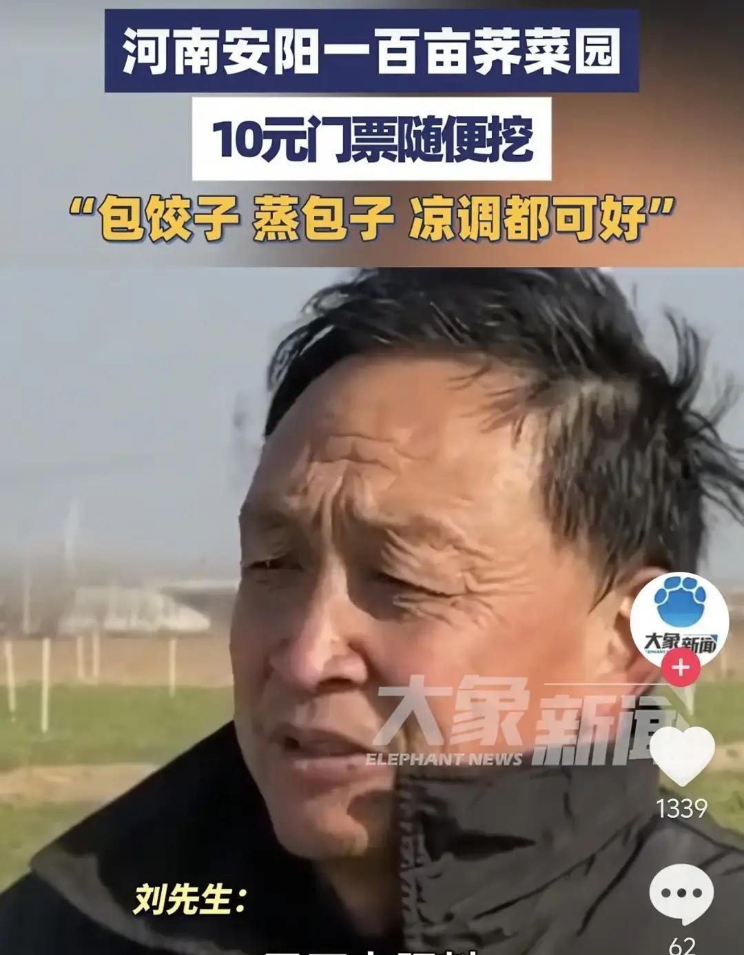 河南刘老板百亩荠菜眼看要砸手里，干脆在门口挂块纸板：十块钱进场，能挖多少算多少。