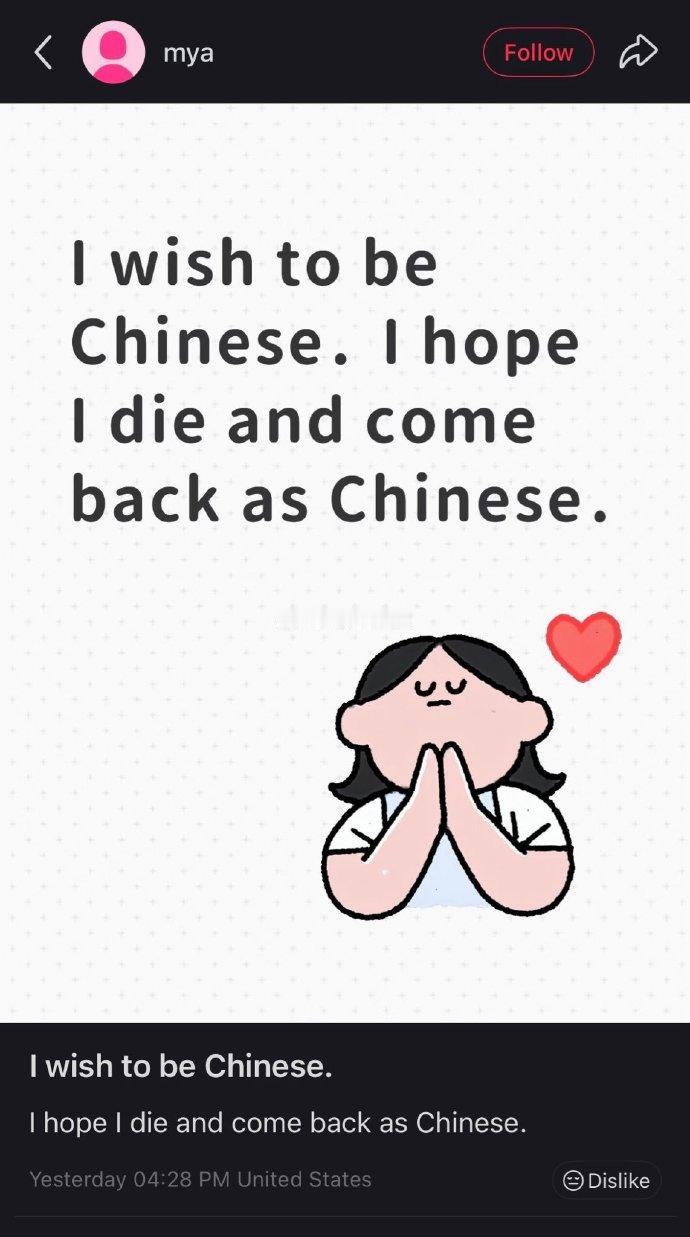 美网友：“希望死后能转世成中国人”推特爆火。
一美国网友在小红书写下这句感慨很快