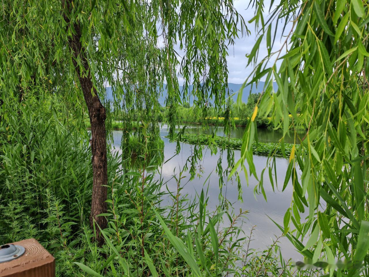 晒图笔记大赛他的笔记大赛也是一个很好的方式，因为通过这样的方式才能够实现一个美好