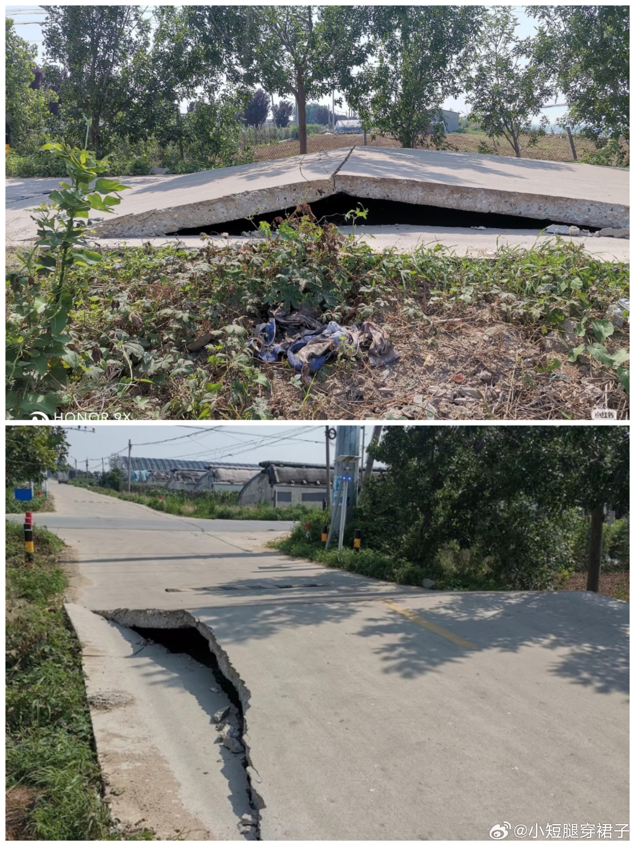 坐标平度市古岘镇大朱毛村西北侧，这地面热得像被施了魔法，直接拱起来了。看这温度，