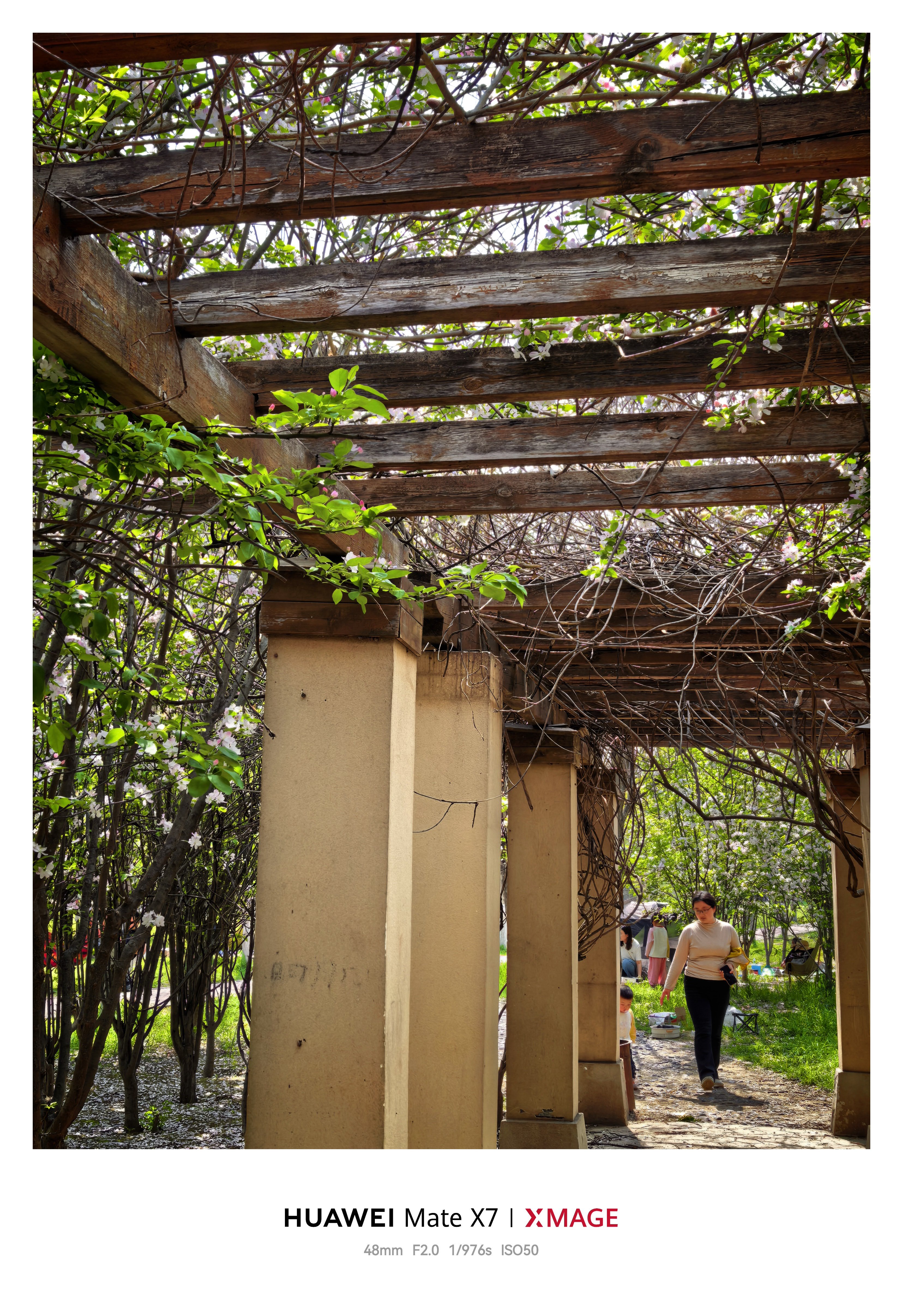 冷知识：今年已经过了四分之一再过几个月就过年了 