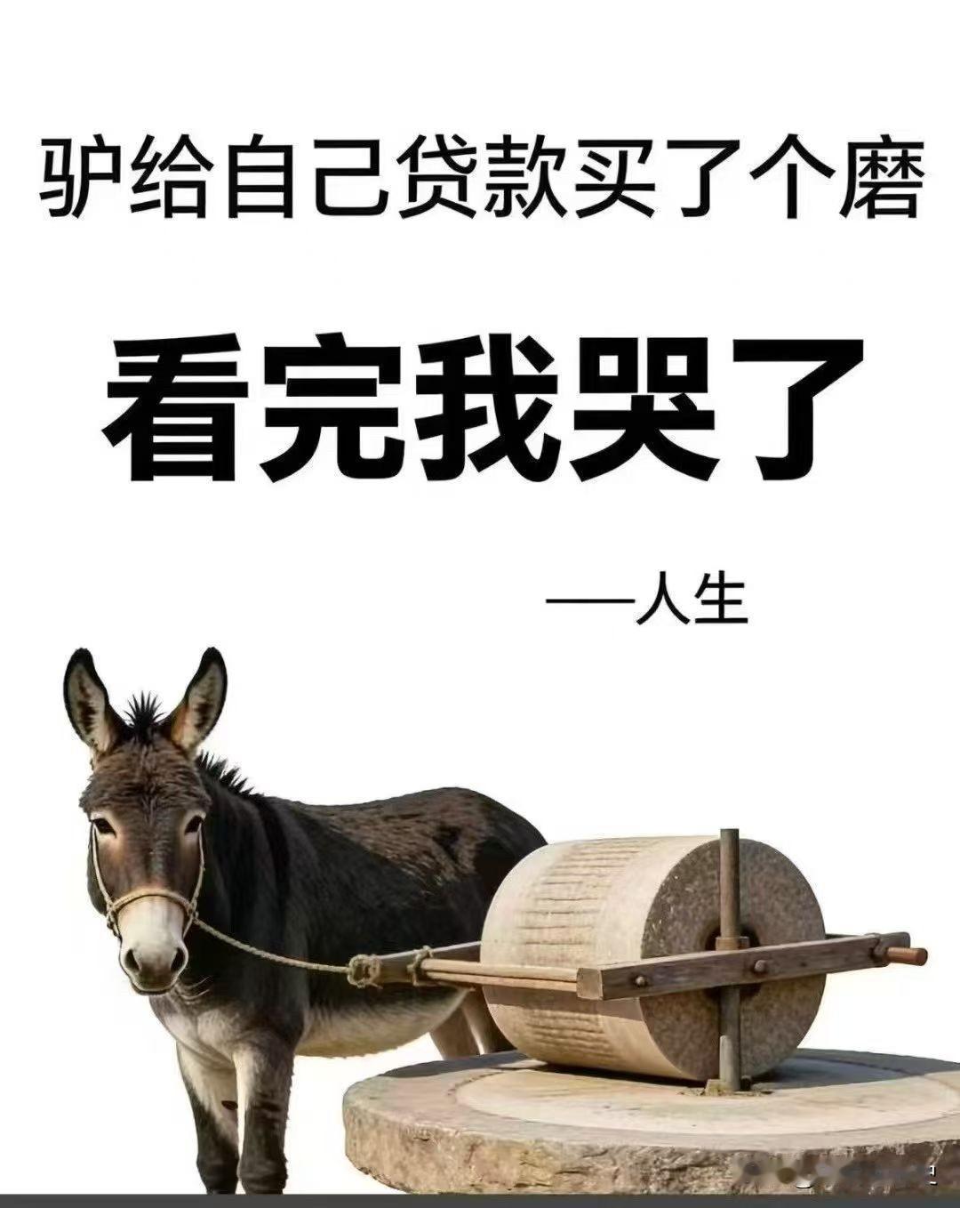 这漫画能让你看哭吗？
漫画