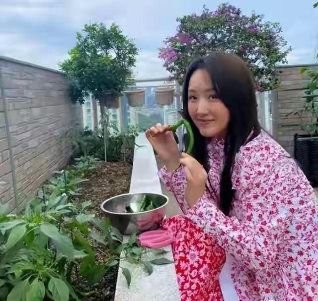 很多人羡慕杨钰莹的地方，不是她50多岁了还那么年轻， 也不是她的声音有多完美，而