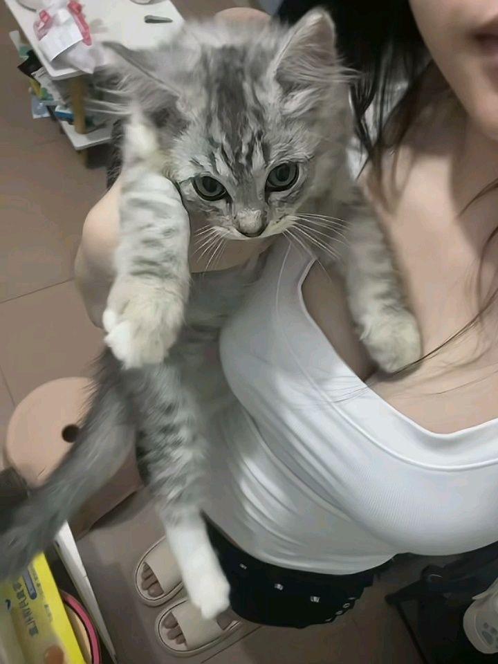 快走开，一股奶猫味 博主