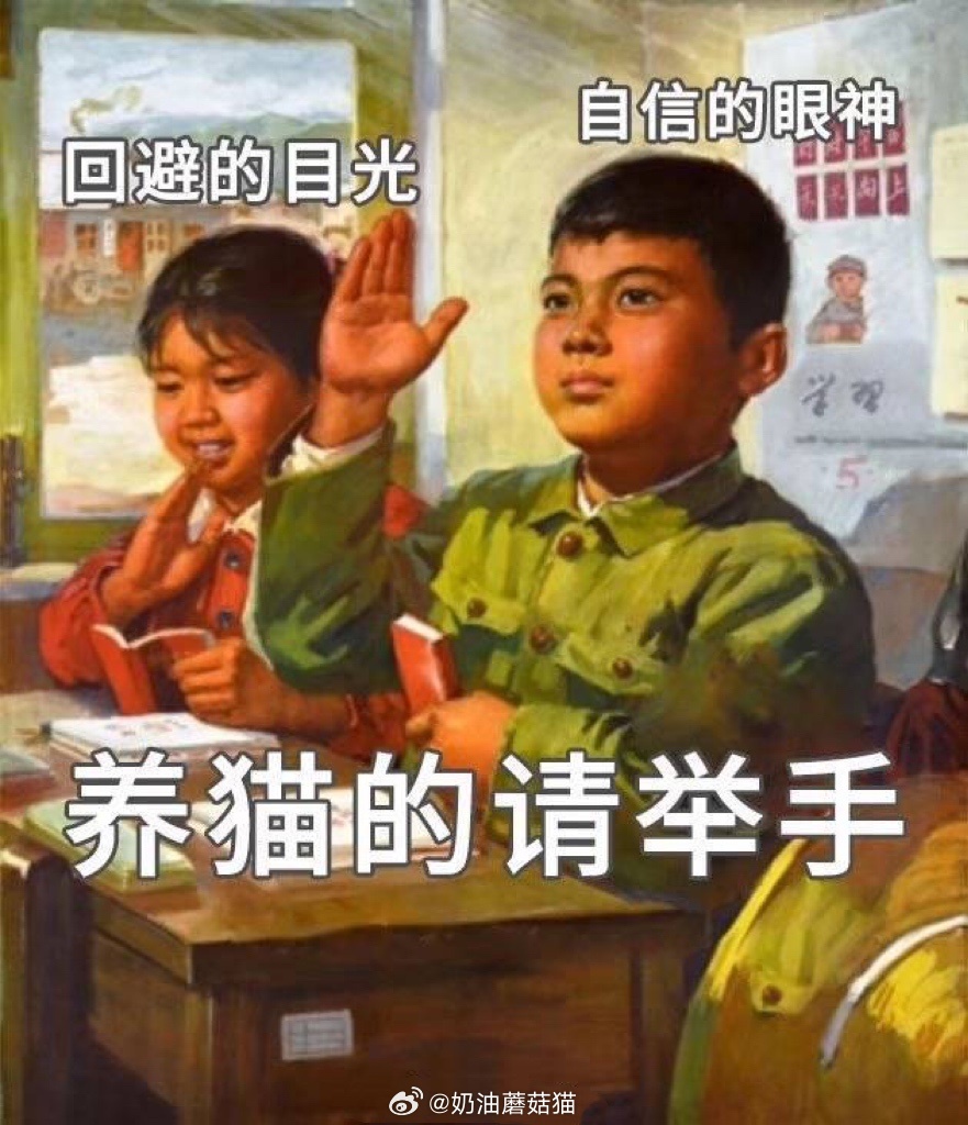 听到窗户外面有人说“谢谢你们！谢谢你们诶！给小猫一个家～”哇～～～～应该是送养小