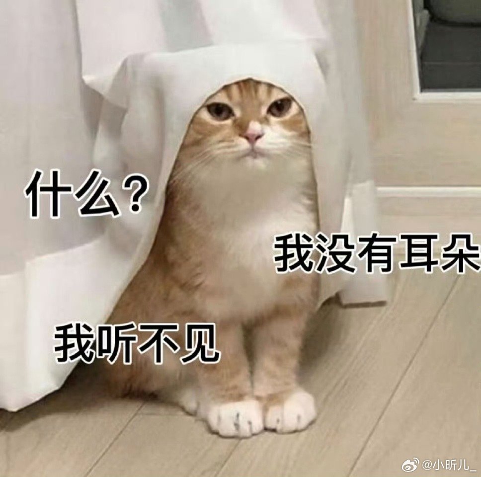 你听过最离谱的空耳耳朵是心灵的窗口，我们天天用却很少呵护它，经常听不清、听岔话，