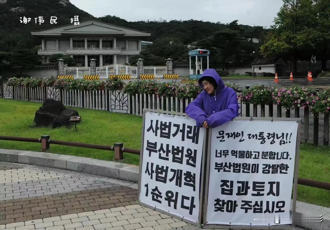 2019年9月4日。韩国首尔青瓦台迎宾馆门前。雨中竖牌示威的一韩国女子。韩国的老