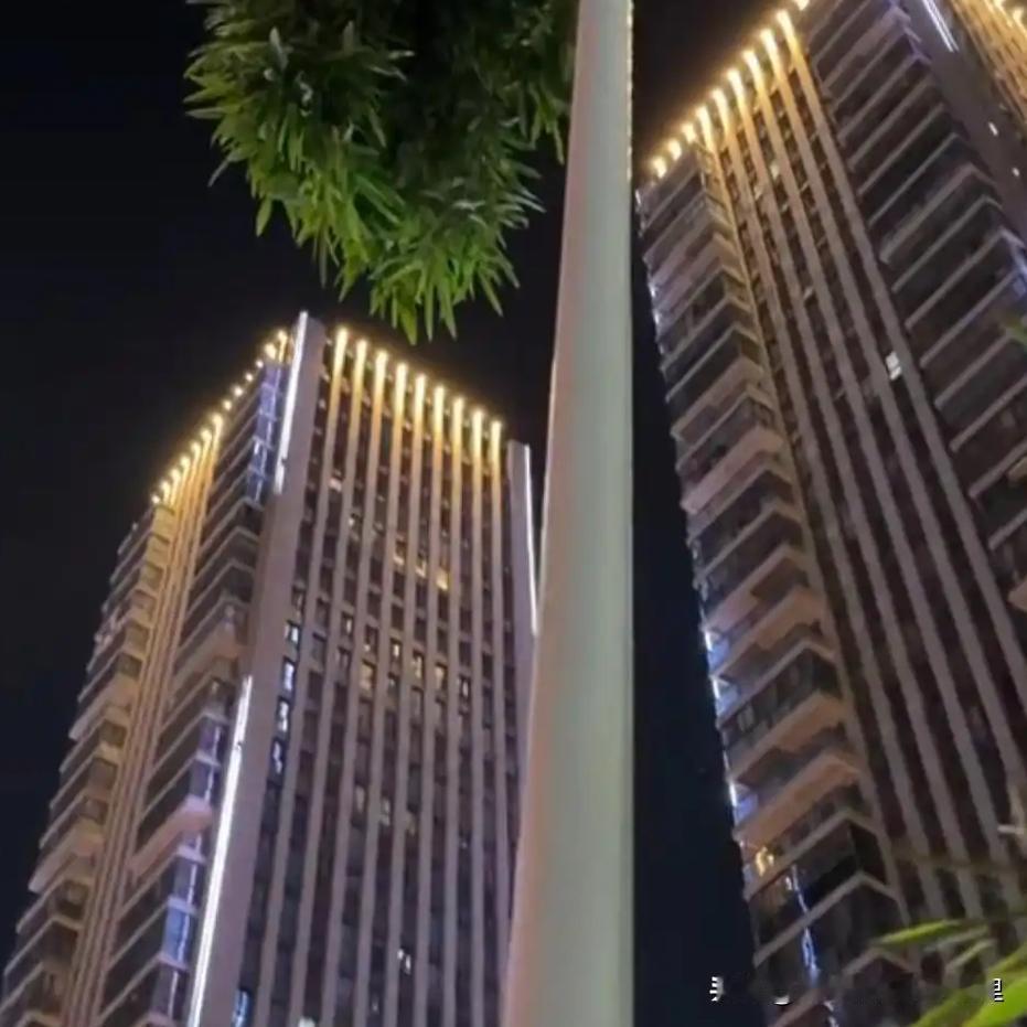 近日，浙江绍兴新昌县一棵竹子从路灯杆底部穿入，从顶部探出枝叶，形成“竹竿穿灯杆”