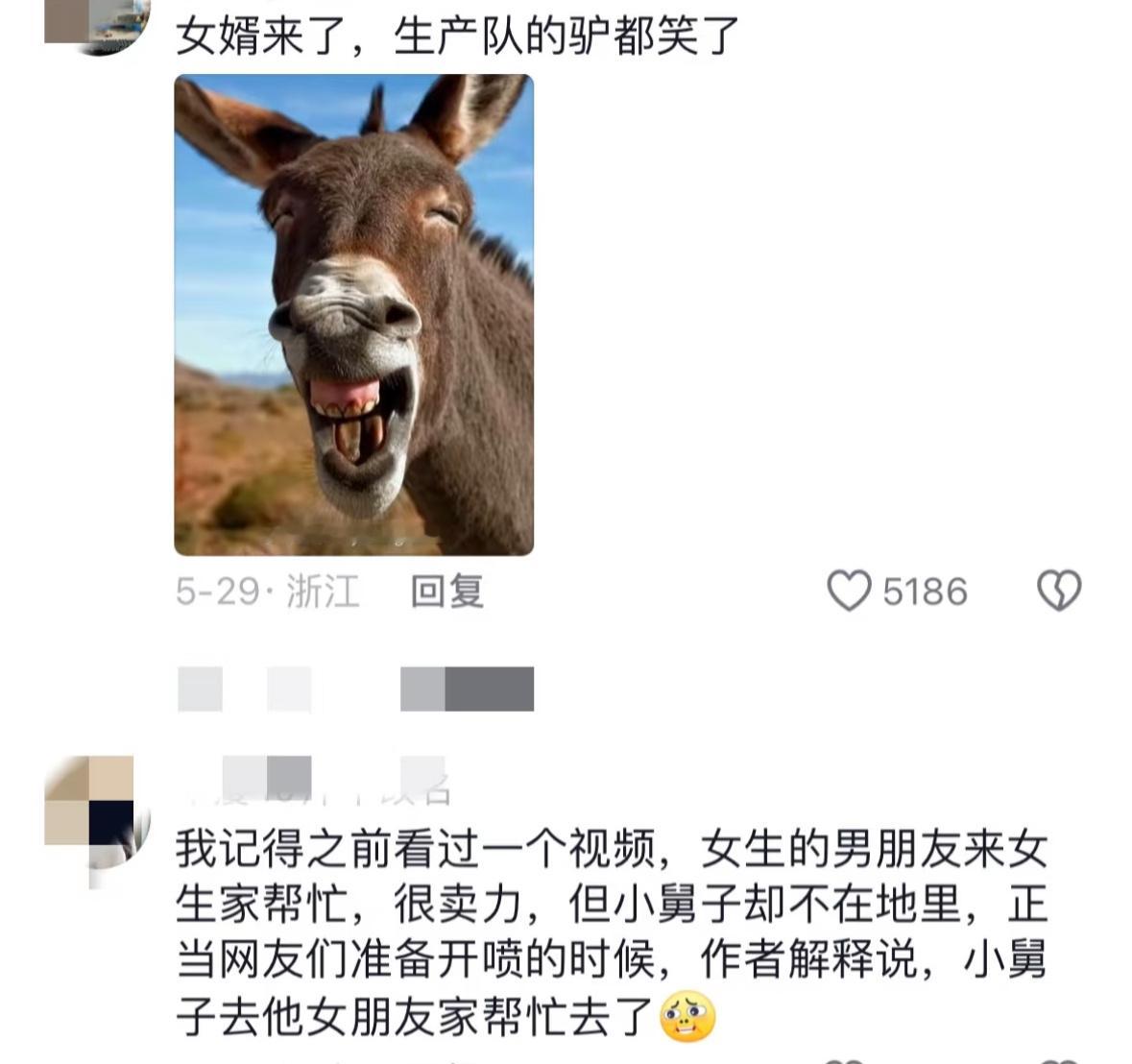 未过门的女婿比驴还能干 今年干活不积极，明年还得叫姨 