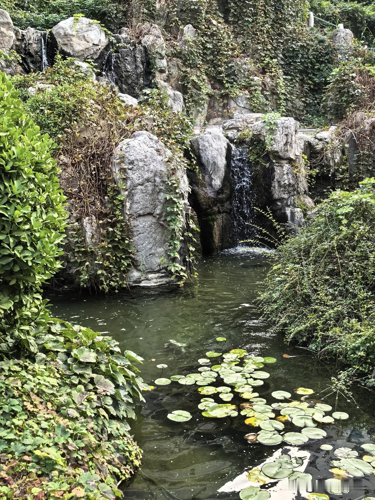 景