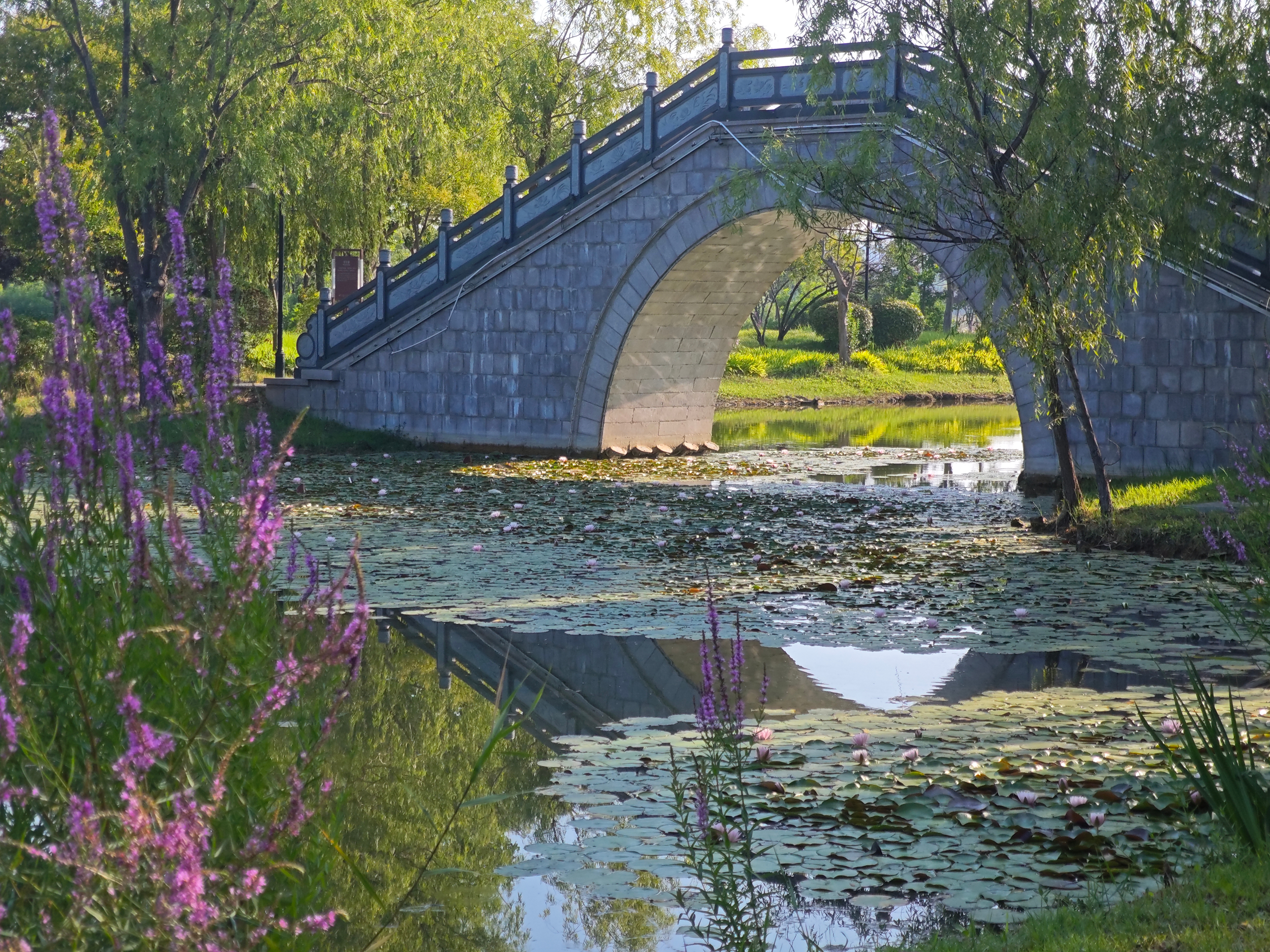 小明失恋了，在大雨中发愣，小明的朋友小刚看不下去了，走上前，领了一份愣。 