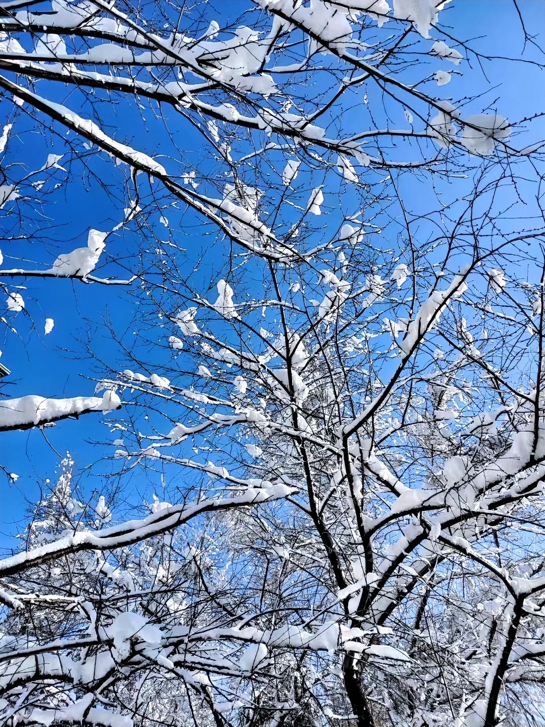 别再瞎忙活了！
真‬正的快乐，从来不是讨好别人、透支自己，而是把人生主动权，攥在