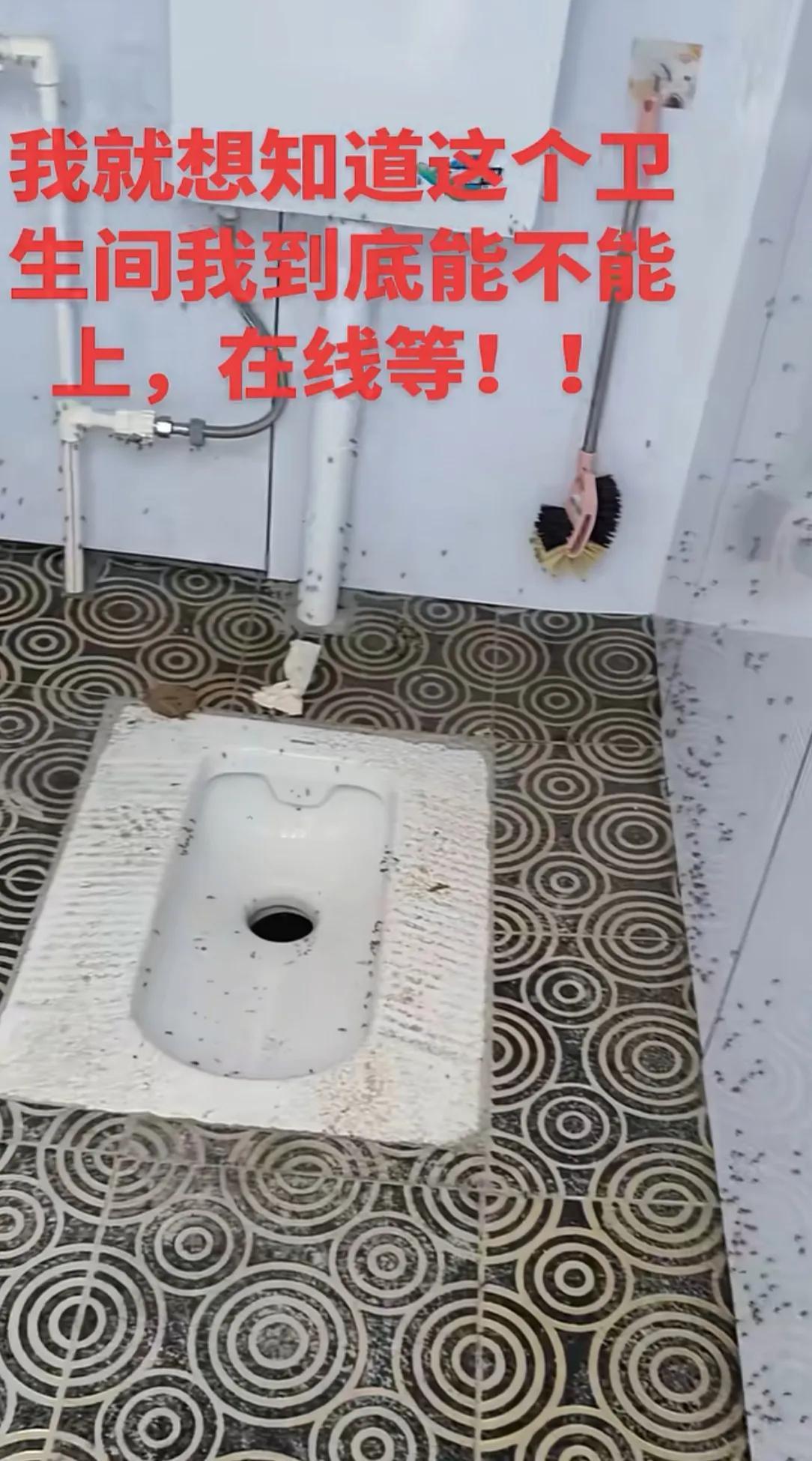 肚子疼急了，可进卫生间一看这种情况！家人们，这上还是不上呀？怎么办？