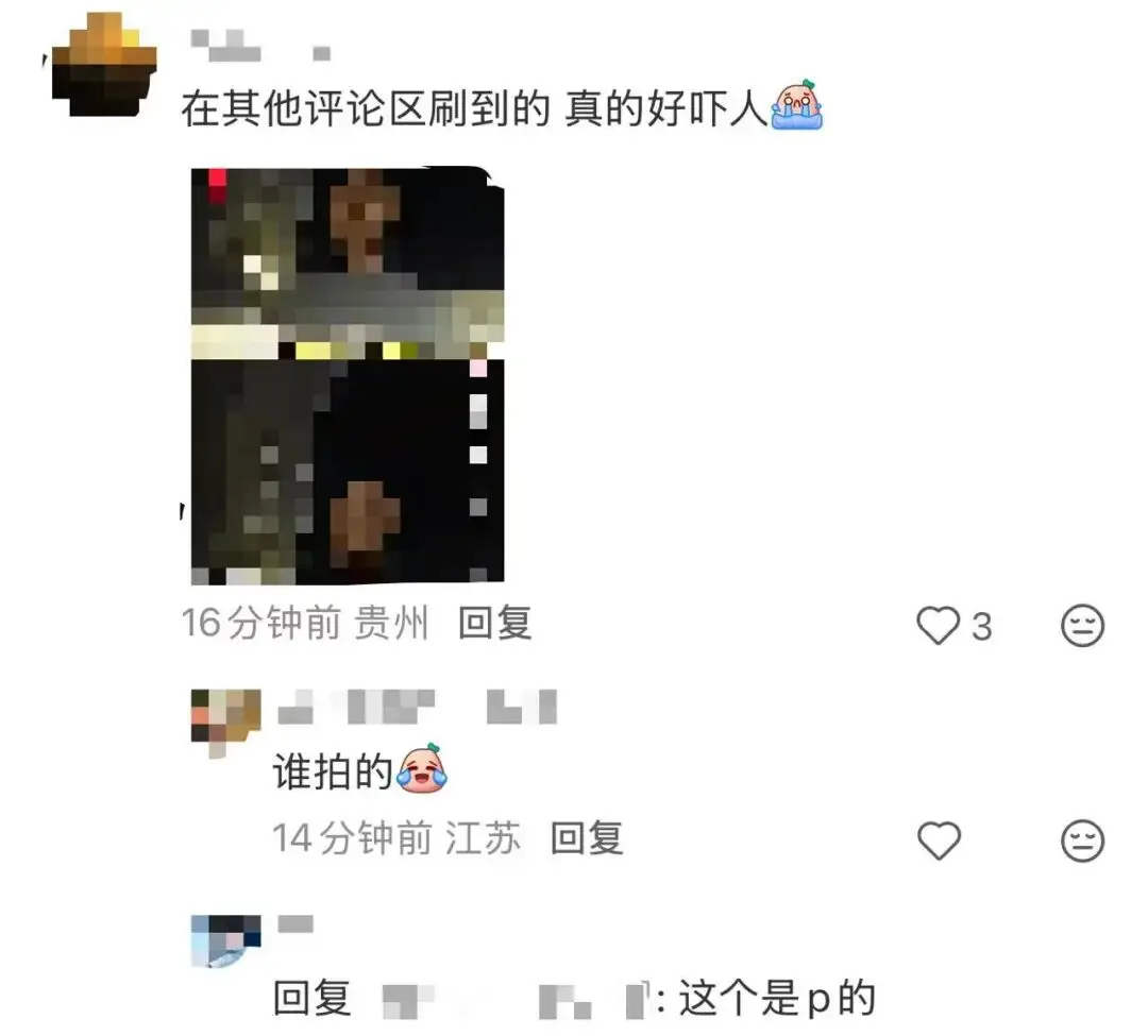 梅姨将面临何种法律后果【“梅姨”到底长啥样？其真实照片是否会被披露？多方回应 】