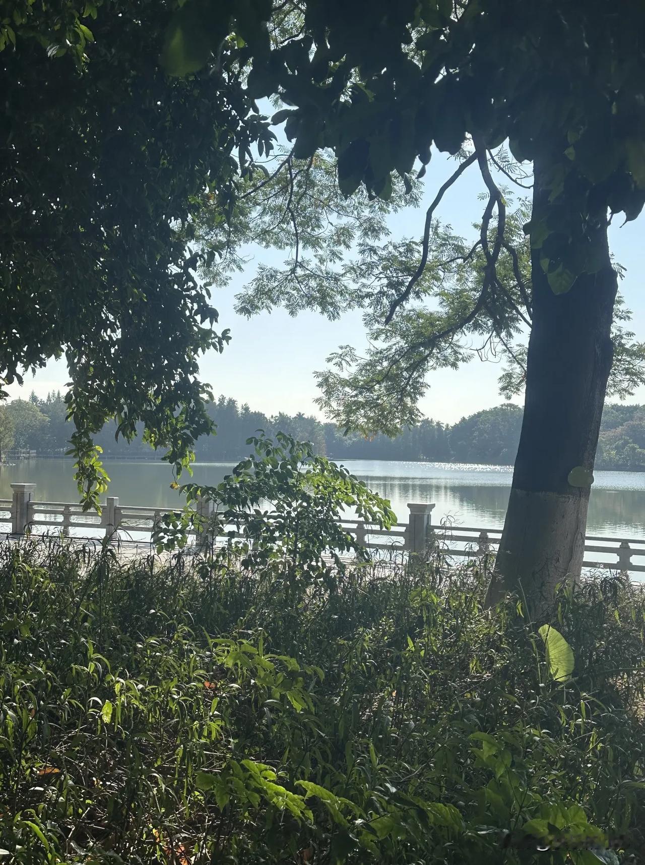 爸妈老了，我肯定得养他们啊。
这还用说吗？

有句话说得好，“您养我小，我养您老