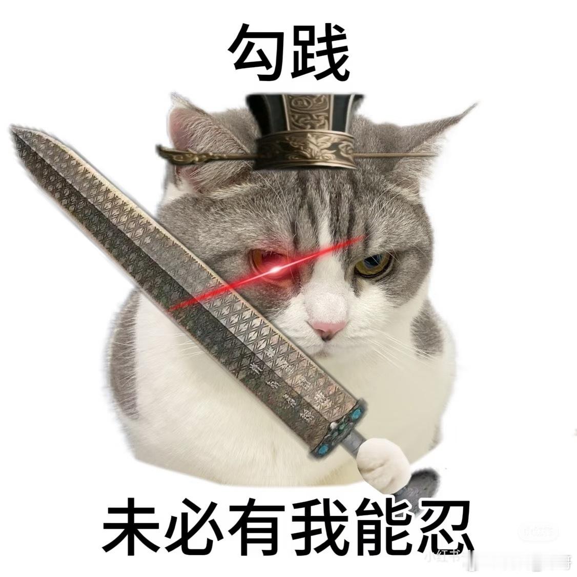 我服了火来了的饼，我还能吃到吗怎么这么多土金水啊，真吐了