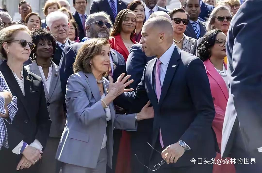 佩洛西气得不轻，直接放话：“不能眼睁睁看着共和党耍手段！”
想当年，民主党可是高