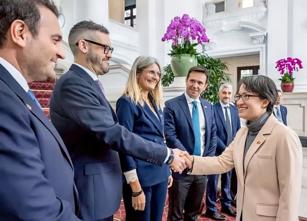 又一群妄图“搞事”的西方政客窜访台湾

近日，所谓“意大利议会友台协会跨党派议员