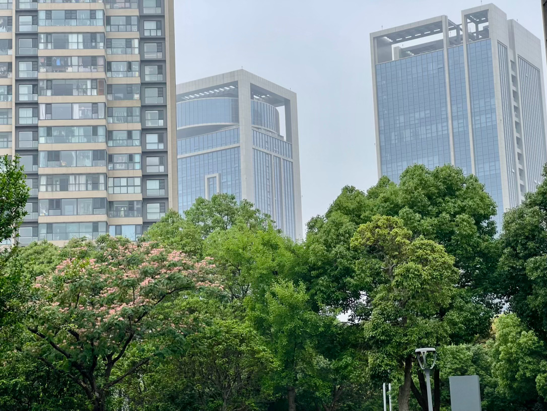 天空飘着蒙蒙细雨，大溪河畔户外用茶 宜兴·梅溪桥