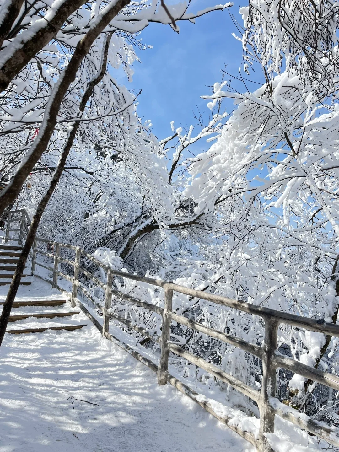 汉中龙头山🐲无痛爬山👣赏雪看云海✅