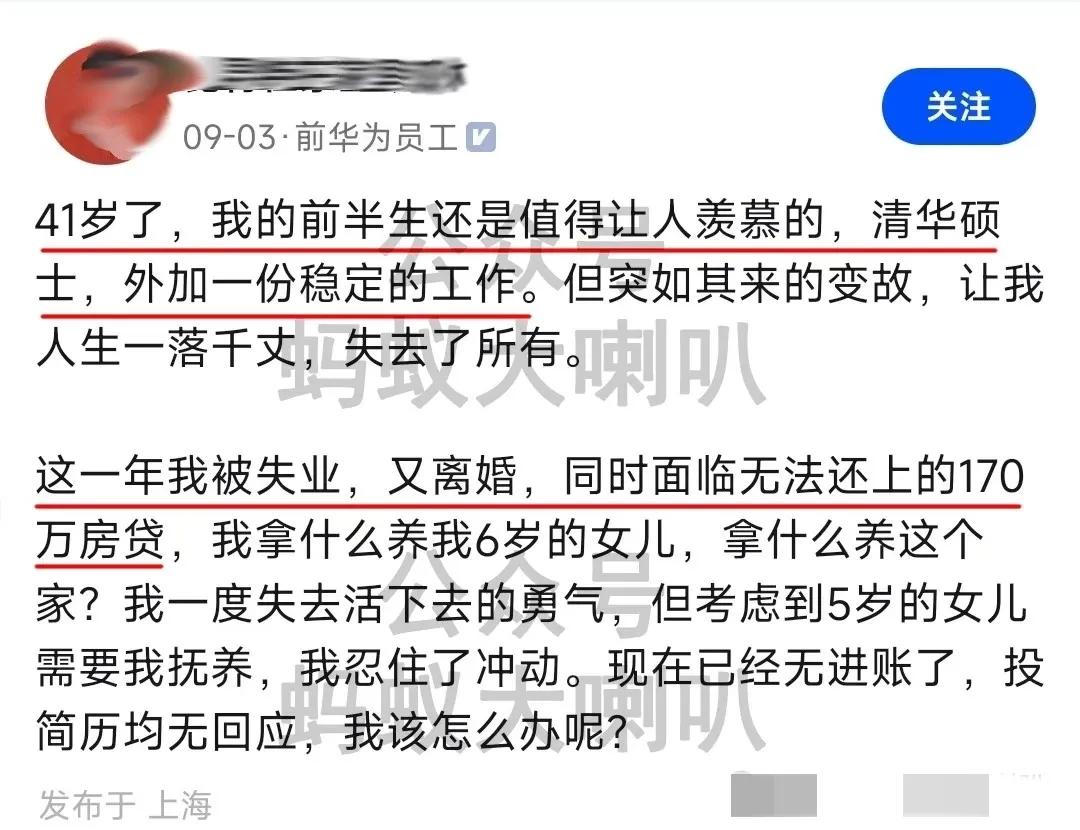 华.为.离职/被离职员工40岁中年失业妇女现状。
网上看不到两位网友自述，均是华
