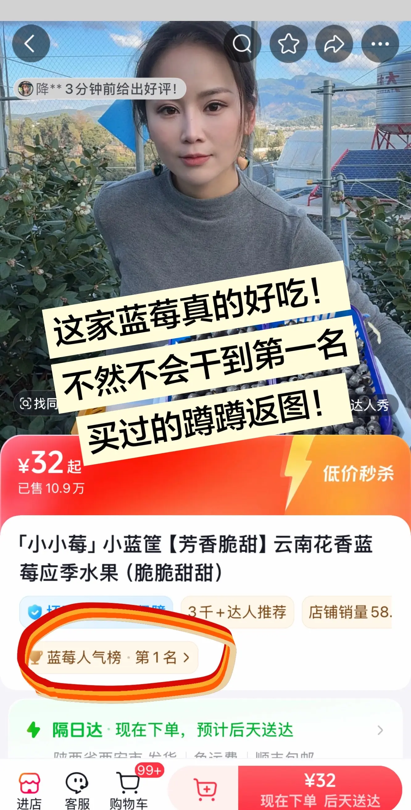 蓝莓花香蓝莓种草