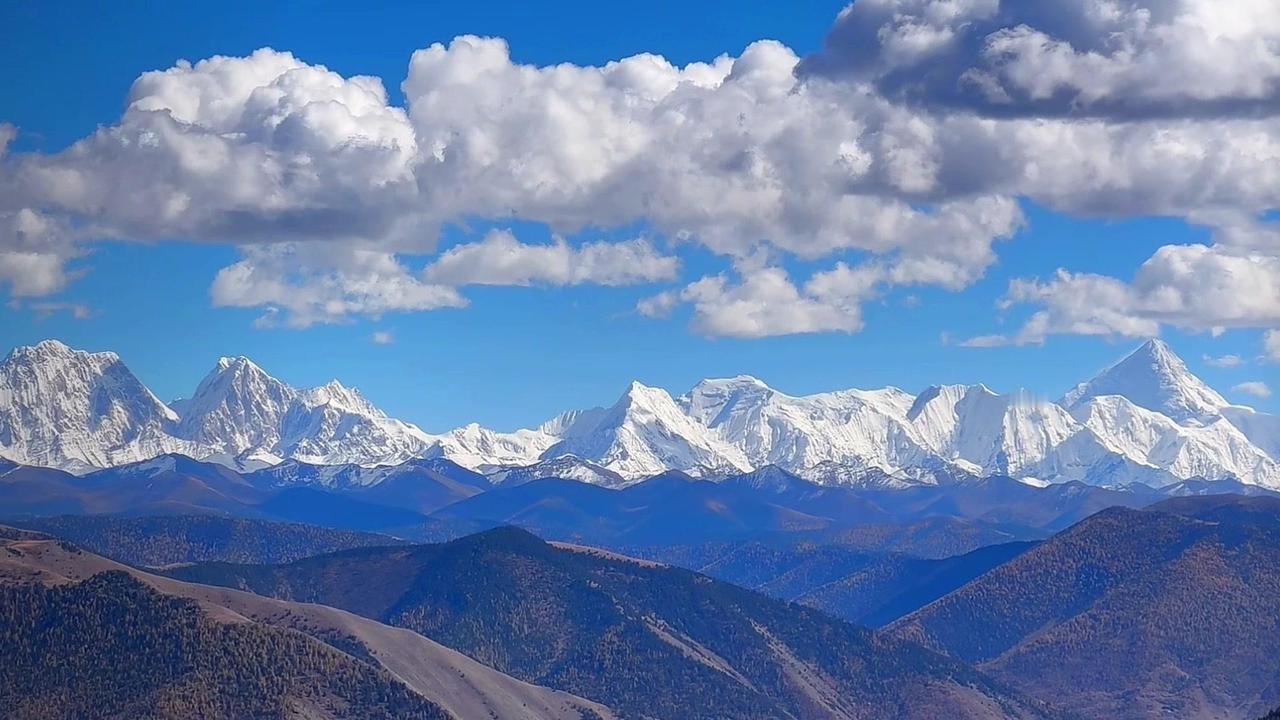 看杨紫生命树，在山水间感受祖国的壮美，远山仿佛在呼唤，每一帧都是心动的风景。
