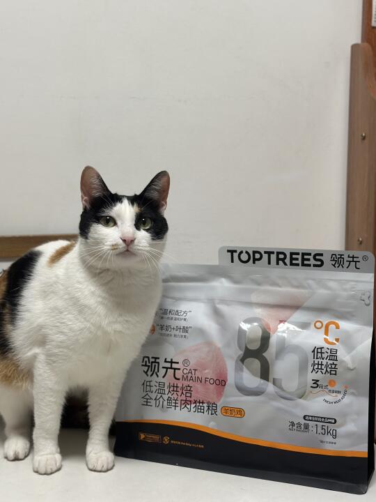 挑食猫也爱！不愧是央爸爸也pick的猫粮