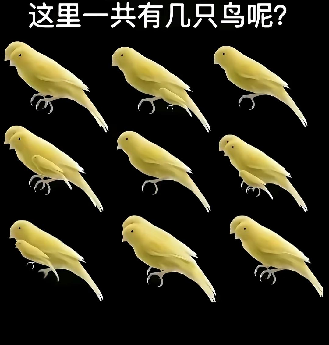 这张图里有九只小黄鸟哦！答案对不对？看看你的眼力，到底有几只小鸟呢？你看清楚了吗