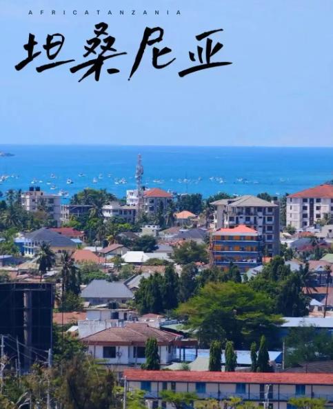 坦桑尼亚这回真坐不住了！当年听了英日那套话，转头把中方请走，结果整整6年，别人靠