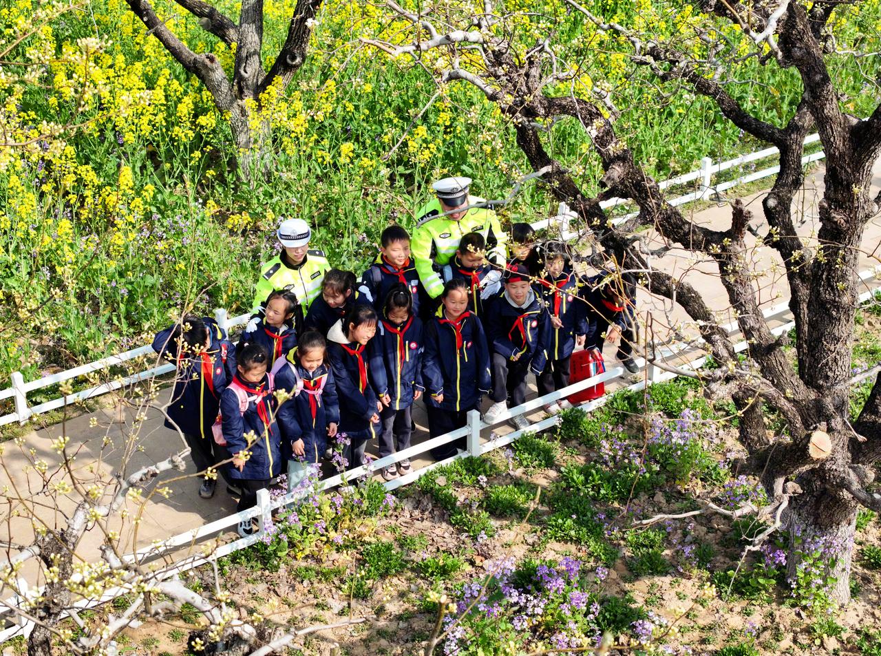 安全课堂搬进春日花海】3月27日，江苏省淮安市公安局交通警察支队四大队全力护航辖