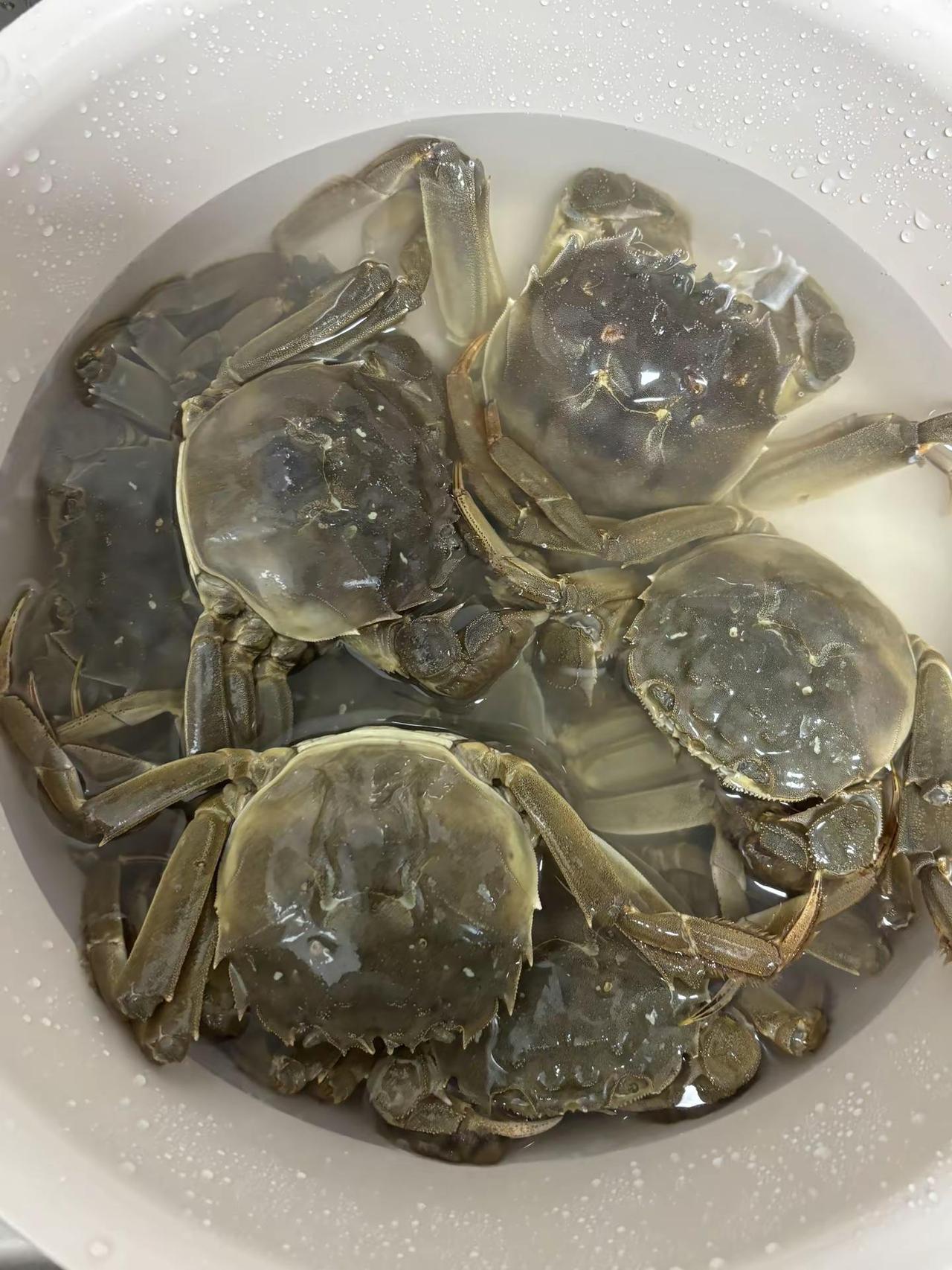 生腌还是煮来吃