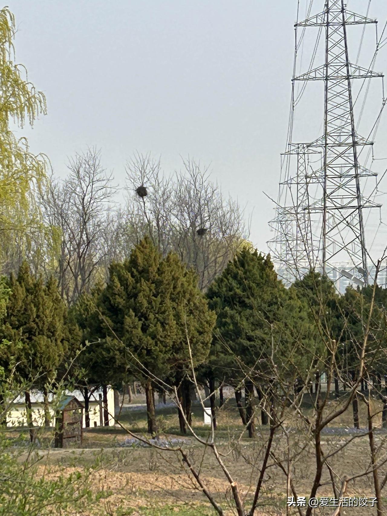 甘油三酯高,生活上有哪些建议?
甘油三酯高，主要就是管住嘴、迈开腿。平时少吃油腻
