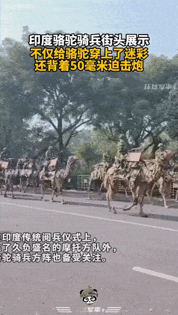 如果三哥派出这去军队，巴铁又该如何应对？