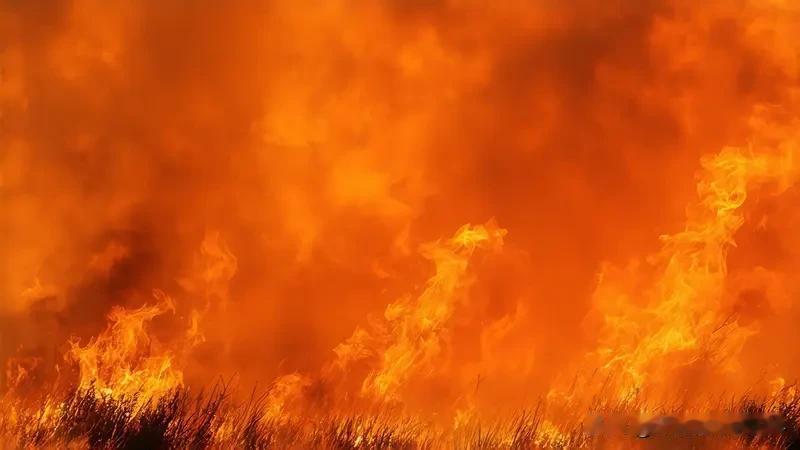 江西这3人工地违规操作引发火灾被拘，真是大快人心。就拿南昌的案例来说，2025年