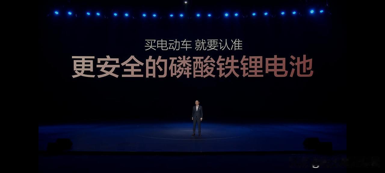 29.98万起
腾势N8L上市了，价格比预售价还低了2万，就两个配置，但是旗舰车