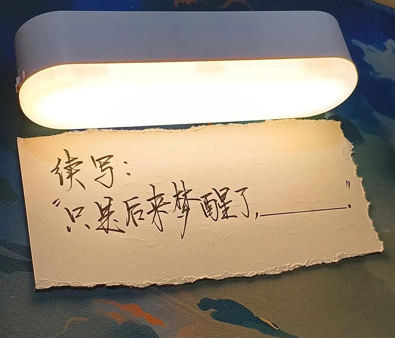 续写，看谁的文笔最好。
只是后来梦醒了，_______________