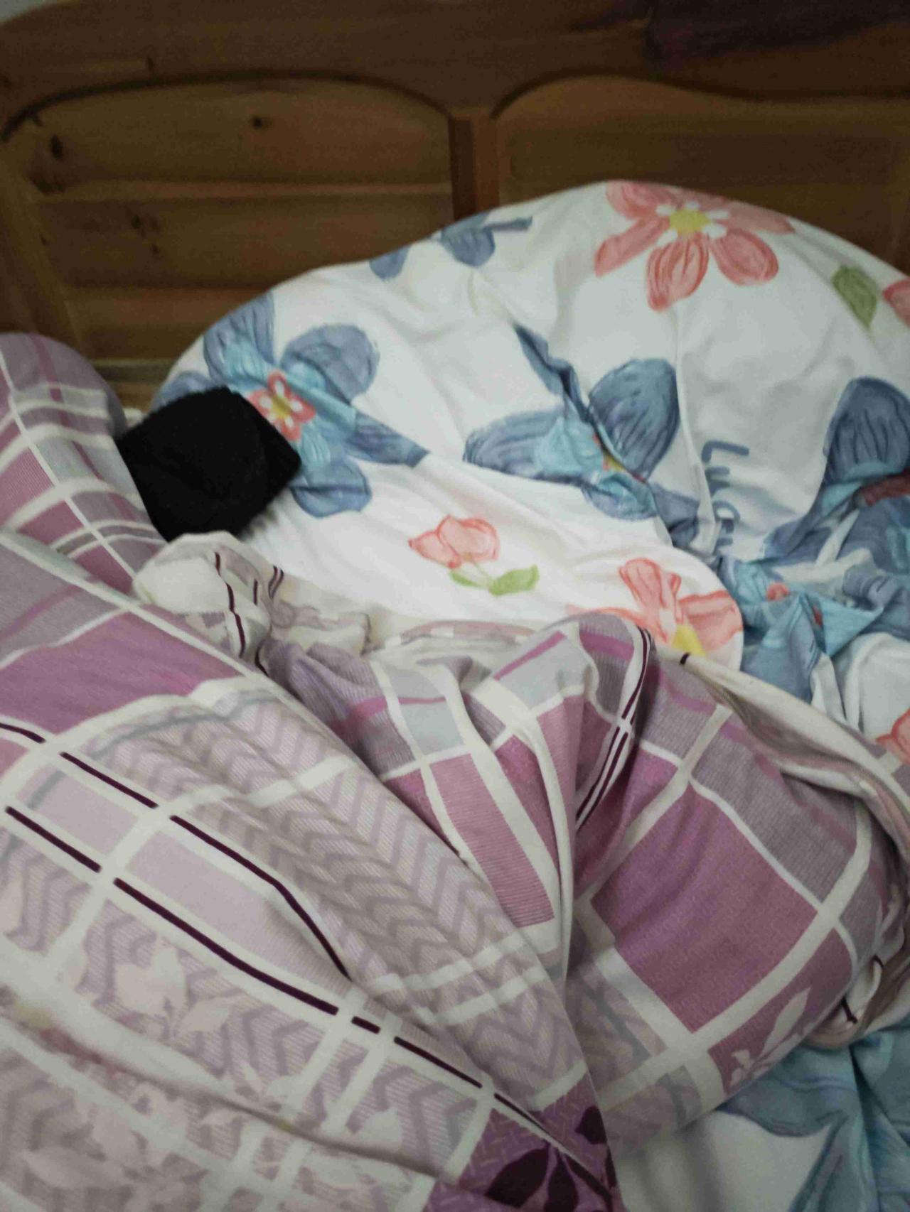 我的今日状态：😁轻松愉快
我这里的天气：☀️晴天